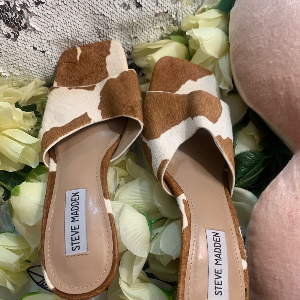 Steve Madden stylish heels, Brand New - Picture 4 of 9